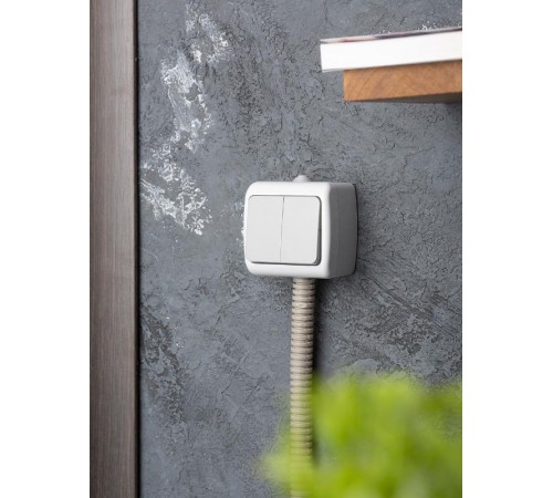 Мурманск Выключатель 2-клавишный 10А IP54 серый EKF  EFV10-023-30-54  EKF