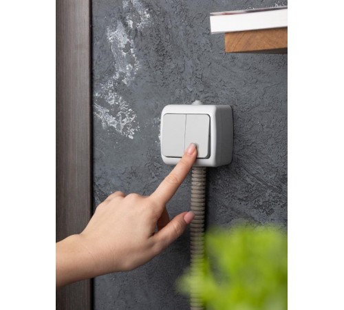 Мурманск Выключатель 2-клавишный 10А IP54 серый EKF  EFV10-023-30-54  EKF