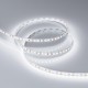 Лента светодиодная RT-A120-8mm 12V White6000 (14.4 W/m, IP20, 2835, 5m) (arlight, Открытый)  022459(2)  Arlight