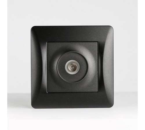 TV розетка одиночная (антрацит)  201020  SPL