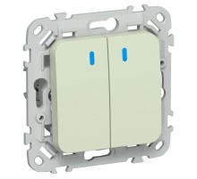 FLITE Выключатель 2-клавишный с индикацией 10А ВС12-1-1-ФлП панг  FI-V20-1-10-1-K92  IEK