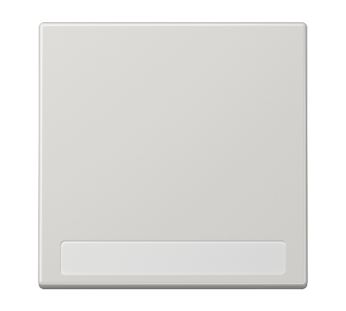 Клавиша для  выключателя с полем для надписи; светло-серая  LS990NALG  Jung