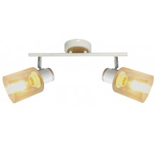 Светильник настенно-потолочный спот Jamilly 7057-702 2 х Е27 40 Вт поворотный  Б0054661  Rivoli