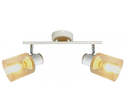 Светильник настенно-потолочный спот Jamilly 7057-702 2 х Е27 40 Вт поворотный  Б0054661  Rivoli
