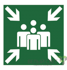 Знак безопасности BL-2020B.E21"Пункт (место) сбора"  a21290  Белый свет