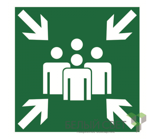 Знак безопасности BL-2020B.E21"Пункт (место) сбора"  a21290  Белый свет