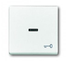 Клавиша для мех. 1-кл.выкл./перекл./кнопки, с символом "КЛЮЧ", серия solo/future, цвет davos/альпийский белый  1751-0-2755   2CKA001751A2755  ABB