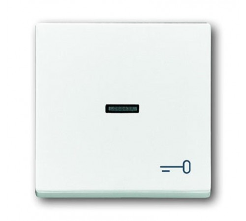 Клавиша для мех. 1-кл.выкл./перекл./кнопки, с символом "КЛЮЧ", серия solo/future, цвет davos/альпийский белый  1751-0-2755   2CKA001751A2755  ABB