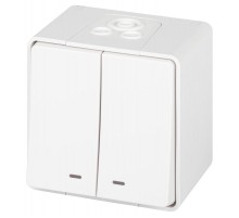 Выключатель Эксперт 11-1505-01 двойной с подсветкой IP55, 10АХ-250В, ОУ, Белый  Б0063282  ЭРА