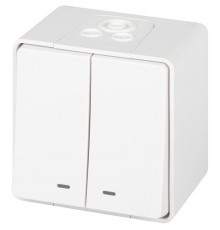 Выключатель Эксперт 11-1505-01 двойной с подсветкой IP55, 10АХ-250В, ОУ, Белый  Б0063282  ЭРА