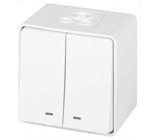 Выключатель Эксперт 11-1505-01 двойной с подсветкой IP55, 10АХ-250В, ОУ, Белый  Б0063282  ЭРА