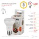 Лампа светодиодная LED R63 8Вт 2700К Е27 СТАНДАРТ рефлектор  Б0020557  ЭРА