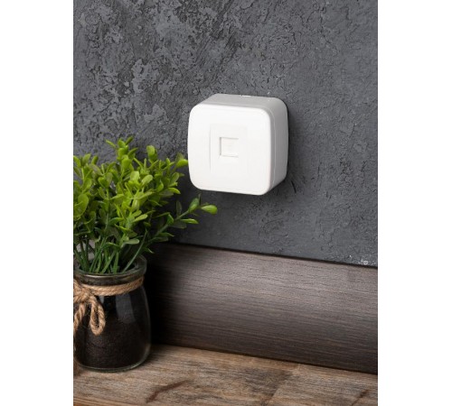 Минск Розетка RJ-45 1-местная, ОП  1А, 120В, белая EKF Basic  EGK01-035-10  EKF