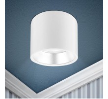 Светильник накладной подсветка OL8 GX53 WH/SL под лампу Gx53, алюминий, цвет белый+серебро (40/800)  Б0048537  ЭРА