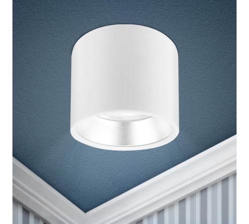 Светильник накладной подсветка OL8 GX53 WH/SL под лампу Gx53, алюминий, цвет белый+серебро (40/800)  Б0048537  ЭРА