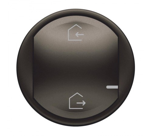 Панель лицевая Celiane для главн. беспроводн. выкл. "Я дома/Я вне дома" графит Netatmo  064832  Legrand