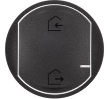 Панель лицевая Celiane для главн. беспроводн. выкл. "Я дома/Я вне дома" графит Netatmo  064832  Legrand