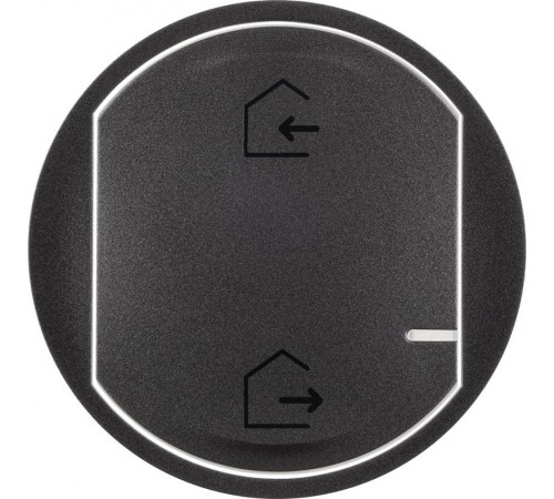 Панель лицевая Celiane для главн. беспроводн. выкл. "Я дома/Я вне дома" графит Netatmo  064832  Legrand