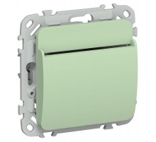 FLITE Выключатель карточный 30А ВК-0-ФлФ фисташковый  FI-V11-0-10-K93  IEK