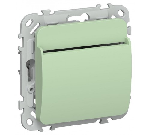 FLITE Выключатель карточный 30А ВК-0-ФлФ фисташковый  FI-V11-0-10-K93  IEK