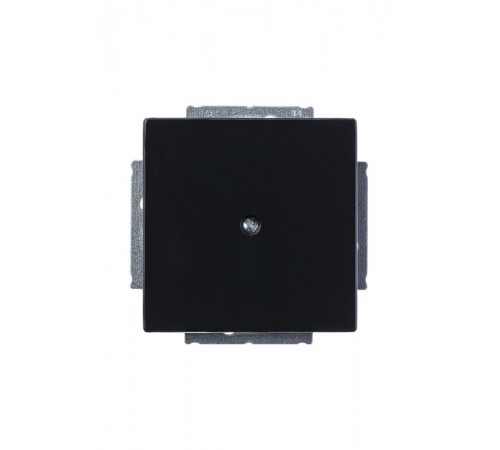 Заглушка с суппортом, серия solo/future, цвет антрацит  1710-0-3612   2CKA001710A3612  ABB