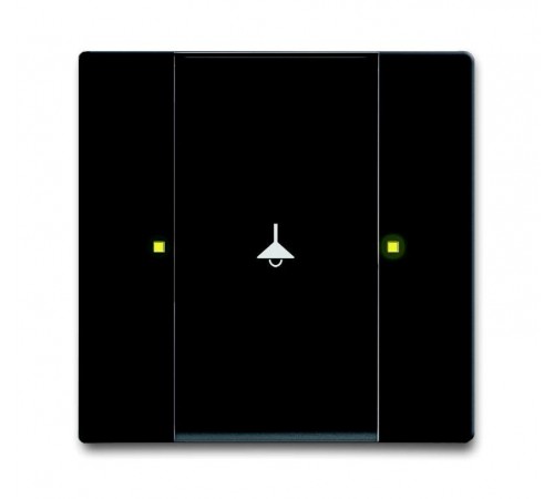 6125/02-885-500 Сенсор 1/2-кл. многофункциональный, черный бархат  6115-0-0227  2CKA006115A0227  ABB