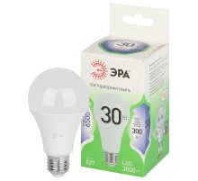 Лампа светодиодная  GREEN LINE LED A65-30W-865-E27 GL E27 30 Вт груша холодный свет  Б0067145  ЭРА