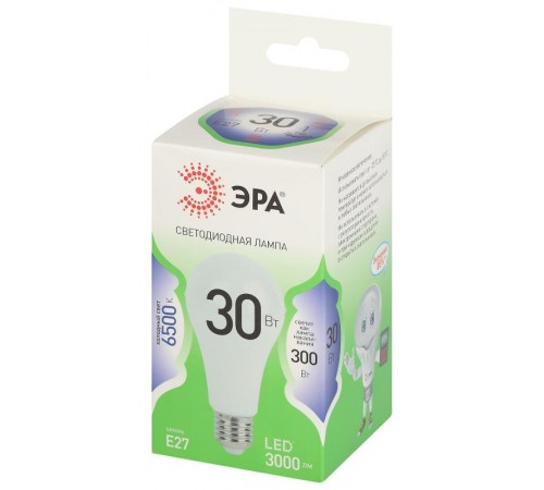 Лампа светодиодная  GREEN LINE LED A65-30W-865-E27 GL E27 30 Вт груша холодный свет  Б0067145  ЭРА