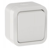 TORS Переключатель однокл. 10А IP55 TS301 белый  TS-V10-0-10-55-K01  IEK