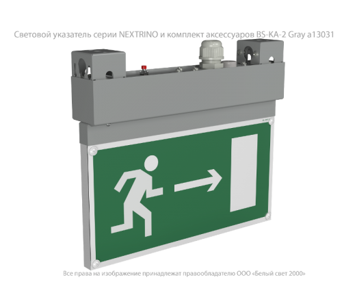 Световой указатель аварийного освещения BS-NEXTRINO-71-S1-INEXI3 Gray  a15512  Белый свет