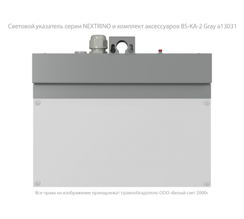 Световой указатель аварийного освещения BS-NEXTRINO-71-S1-INEXI3 Gray  a15512  Белый свет