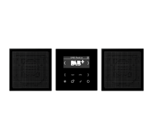 Смарт радио DAB+, стерео; черный DABLS2SW Jung