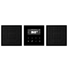 Смарт радио DAB+, стерео; черный DABLS2SW Jung