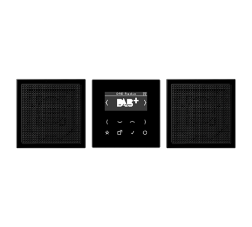 Смарт радио DAB+, стерео; черный DABLS2SW Jung