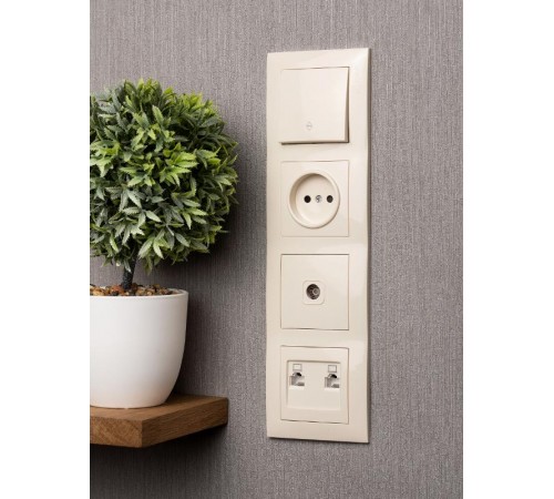 Валенсия рамка 4-местная кремовая EKF PROxima   EWM-G-304-20   EKF