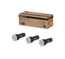 Индикатор (указатель) заземления AD22-DRE (LED) матрица d22 мм красный/зеленый 24 В AC/DC  SQ0702-0102  TDM