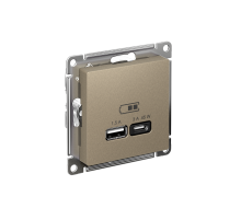 AtlasDesign Шампань USB Розетка A + тип-C 45W высокоскоростной заряд QC PD  ATN000529  SE