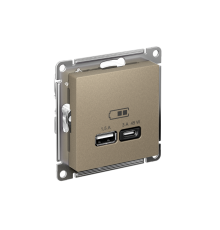 AtlasDesign Шампань USB Розетка A + тип-C 45W высокоскоростной заряд QC PD  ATN000529  SE
