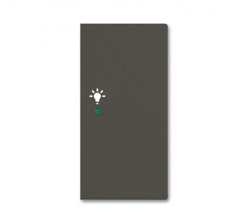 SRL-2-R-95 Клавиша двойная правая free@home, освещение, Basic 55, цвет chateau-black  6220-0-0697   2CKA006220A0697  ABB