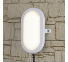 LTB0102D 12W 4000K LED 22см IP54 пылевлагозащищенный светильник  a036710  Elektrostandard