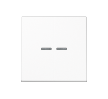 Клавиша для выключателя с подсветкой A595BFKO5WW Jung