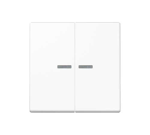 Клавиша для выключателя с подсветкой A595BFKO5WW Jung