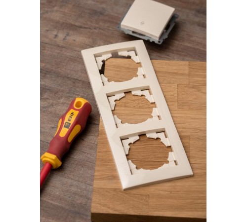 Валенсия рамка 3-местная кремовая EKF PROxima   EWM-G-303-20   EKF