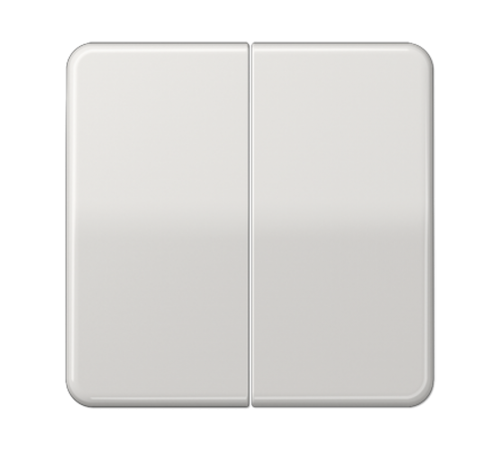 Клавиши ударопрочные для сдвоенного выключателя и кнопки; светло-серые  CD595BFLG  Jung