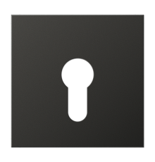 Крышка для выключателя с замком; антрацит  AL2925AN  Jung