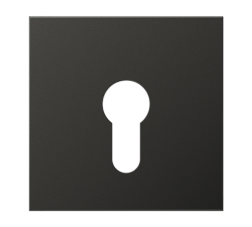 Крышка для выключателя с замком; антрацит  AL2925AN  Jung