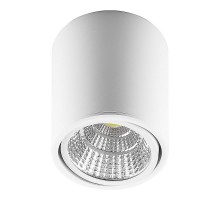 Светильник накладной светодиодный спот AL516, 10W, 800Lm, 4000K, 30 градусов, белый, поворотный  29575  FERON