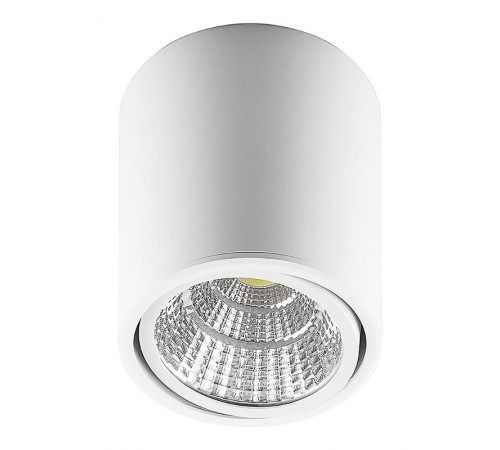 Светильник накладной светодиодный спот AL516, 10W, 800Lm, 4000K, 30 градусов, белый, поворотный  29575  FERON