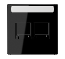 Плата (фиксация защёлкиванием) для двух модулей с полем для надписи; термопласт; черный  LS1969-25NAWESW  Jung