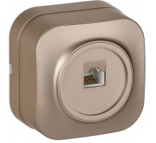 GLORY Розетка компьютерная RJ45 кат.5E о/у РК10-ХШм шампань матовый  EKH10-K37M  IEK